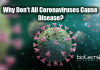 Scientists Explain Why Some Coronaviruses Cause Deadly Disease While Some Doesn’t Why don't all coronaviruses cause diseases