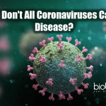Why don't all coronaviruses cause diseases