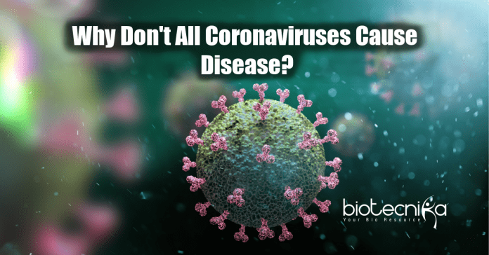 Why don't all coronaviruses cause diseases