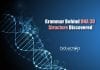 Researchers Unveil The ‘Grammar’ Behind DNA 3D Structure Grammar for DNA 3D Structure