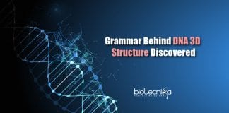 Grammar for DNA 3D Structure