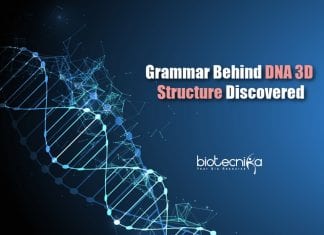 Grammar for DNA 3D Structure