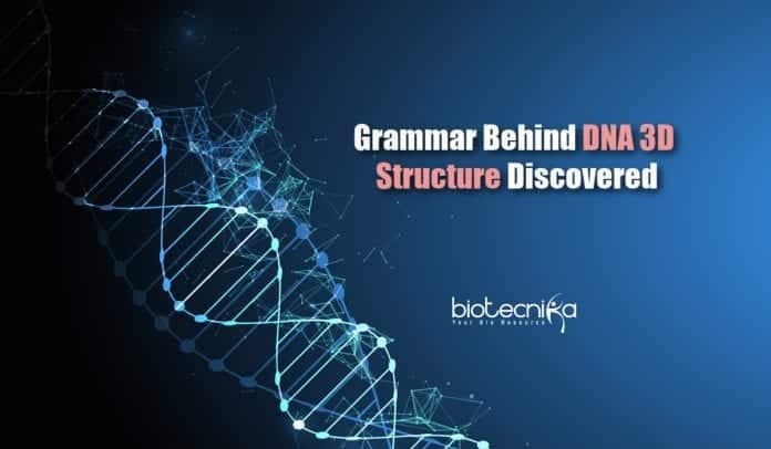 Grammar for DNA 3D Structure