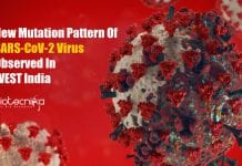 Distinct Mutation Pattern in SARS-CoV-2 Virus Observed In West India SARS-CoV-2 virus new mutation pattern