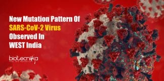 SARS-CoV-2 virus new mutation pattern