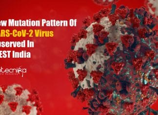 SARS-CoV-2 virus new mutation pattern