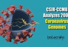 2000 coronavirus genomes analyzed (3)