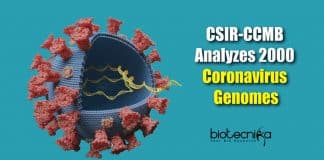 2000 coronavirus genomes analyzed (3)