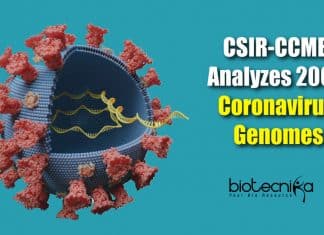 CSIR-CCMB Analyzes More Than 2000 Coronavirus Genomes – Genomic Landscape Of SARS-CoV-2 2000 coronavirus genomes analyzed (3)
