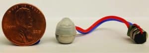 Ingestible Device for Stomach Ailments