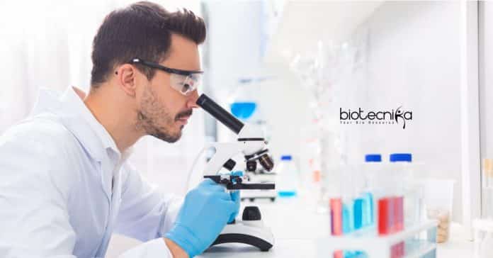 ACTREC Scientific Assistant Job