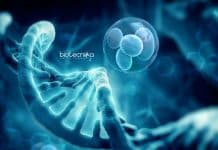 AIIMS Delhi Cancer Project Research Fellow Vacancy – Applications Invited AIIMS Delhi Job Vacancy