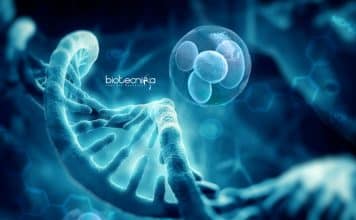 AIIMS Delhi Cancer Project Research Fellow Vacancy – Applications Invited AIIMS Delhi Job Vacancy