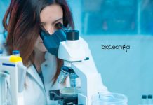 Amity Institute of Microbial Technology Life Science Technical Assistant Job Amity University Job Vacancy