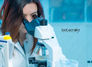 Amity Institute of Microbial Technology Life Science Technical Assistant Job Amity University Job Vacancy