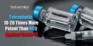 Antibiotic Teicoplanin