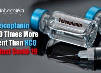 Antibiotic Teicoplanin