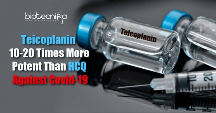 Antibiotic Teicoplanin
