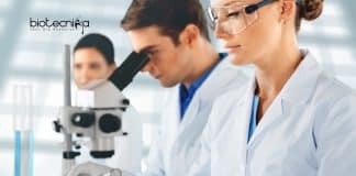 BHU Molecular Biology Research