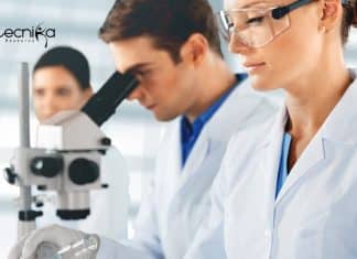 BHU Molecular Biology Research