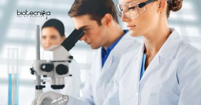 BHU Molecular Biology Research