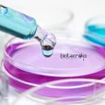 BHU PhD Immunology & Molecular Biology Research Associate Job BHU PhD Immunology