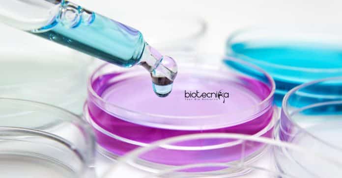 BHU PhD Immunology
