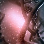 BITS Pilani Gene Regulation Life Science Project Fellow Job BITS Pilani Project Fellow