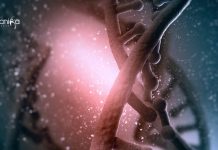 BITS Pilani Gene Regulation Life Science Project Fellow Job BITS Pilani Project Fellow