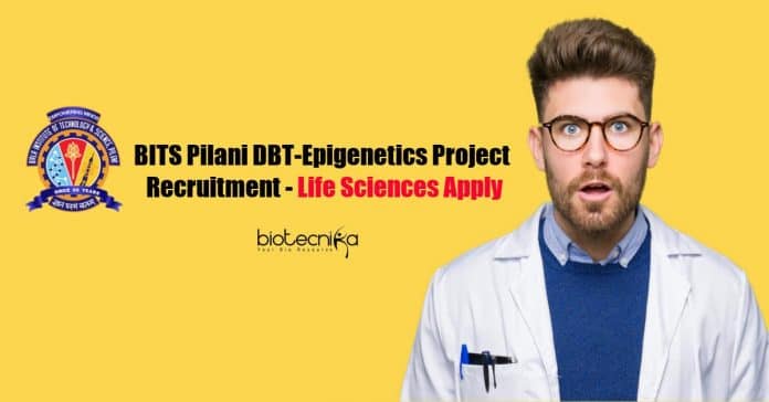 BITS Pilani Research Fellow