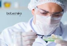 Banaras Hindu University Research Fellow Vacancy – Applications Invited Banaras Hindu University