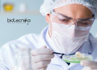 Banaras Hindu University