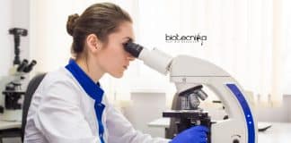 Bayer Biotech