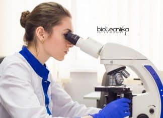 Bayer Biotech