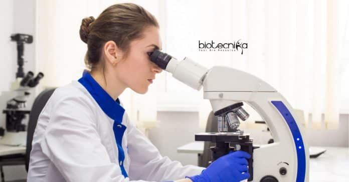 Bayer Biotech