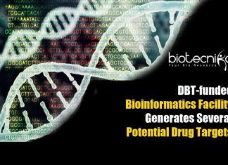 Bioinformatics Facility At ACBR