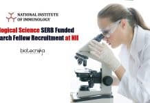 Biological Science SERB Funded Research Fellow Recruitment at NII Biological Sciences Jobs at