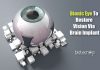New Bionic Eye That Can Restore Vision Via Brain Implant Bionic Eye to Help Blind