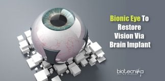 Bionic Eye to Help Blind