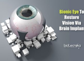New Bionic Eye That Can Restore Vision Via Brain Implant Bionic Eye to Help Blind