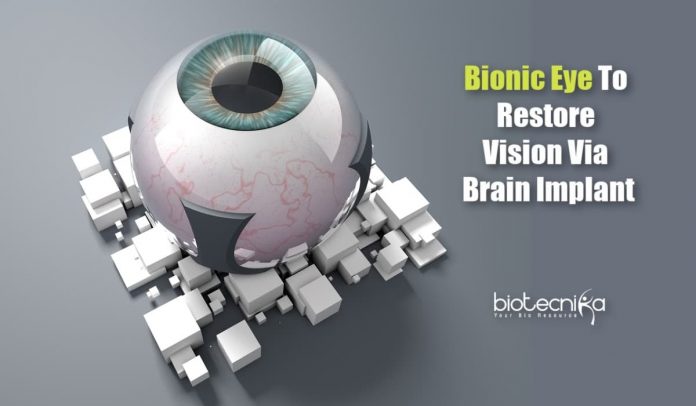 Bionic Eye to Help Blind