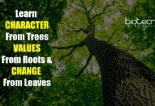 Biotecnika Times – Newsletter 17.09.2020 – Govt LHMC Delhi Research Recruitment, IRRI