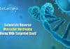 Scientists Reverse Muscular Dystrophy in Mice Using RNA-Targeted Cas9 RCas9 to treat Muscular dystrophy