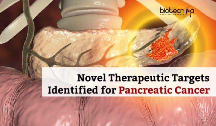 Therapeutic Targets for Pancreatic Cancer