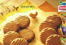 Britannia Industries Food Technology Production Officer Recruitment Britannia Industries Food Technology