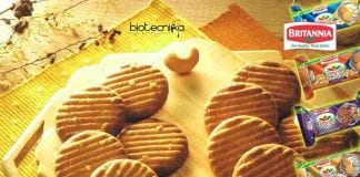 Britannia Industries Food Technology
