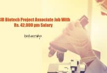 CSIR-CSIO Biotech Project Associate Job With Rs. 42,000 pm Salary CSIR-CSIO Biotech Project Associate
