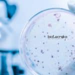 CSIR-IICB Microbiology Project Associate Vacancy Available CSIR-IICB Microbiology Project Associate