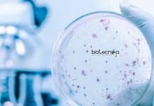 CSIR-IICB Microbiology Project Associate Vacancy Available CSIR-IICB Microbiology Project Associate