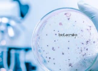 CSIR-IICB Microbiology Project Associate